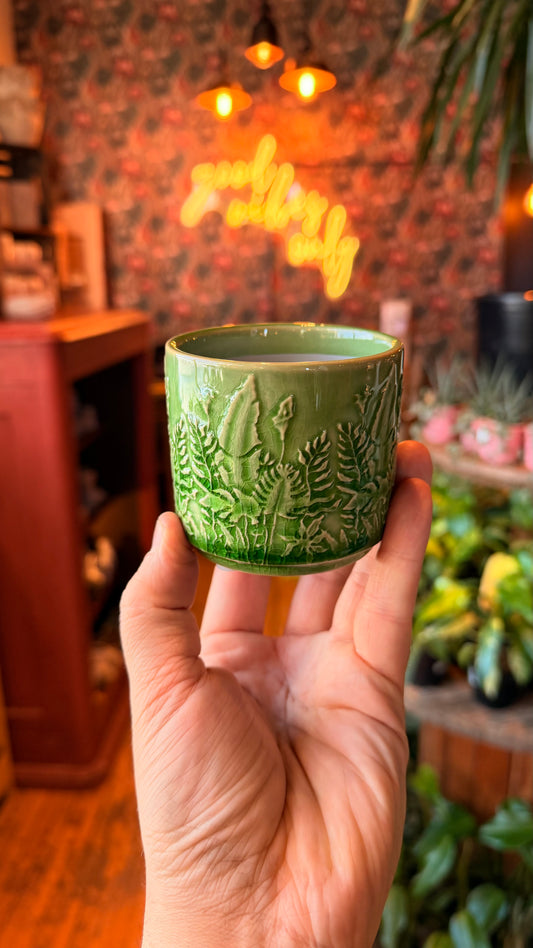 2.5” Green Jungle Dreams Planter