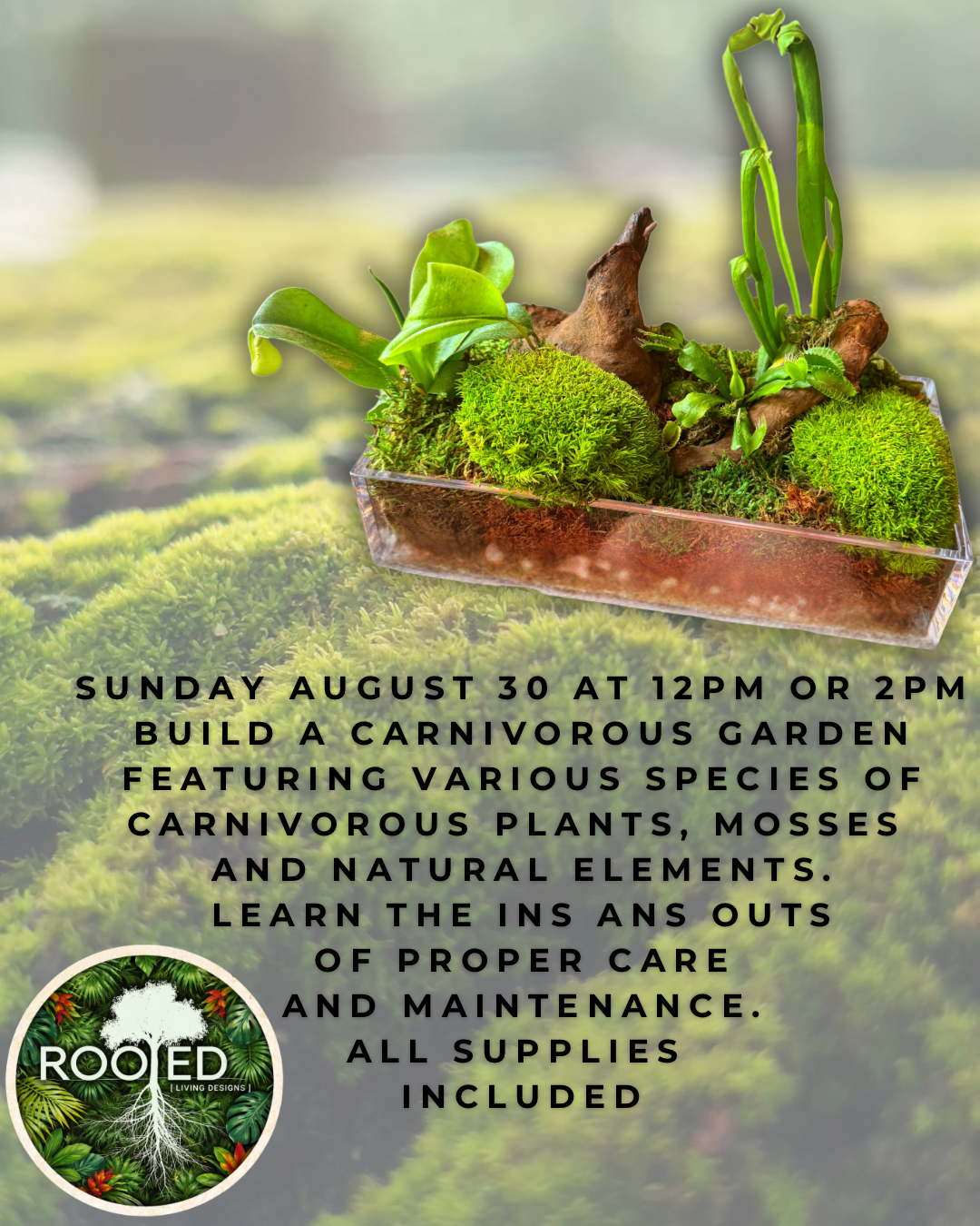 Carnivorous Forest Garden Workshop