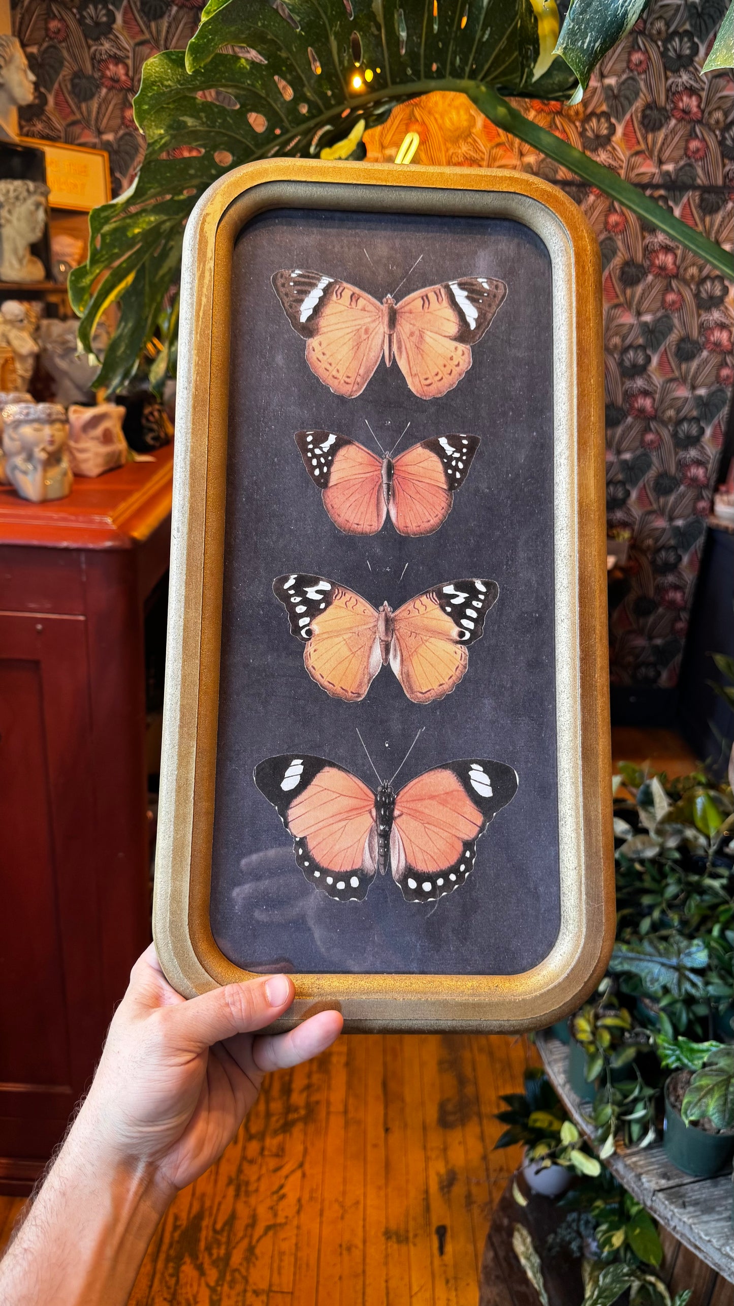 Monarch Butterfly Artwork