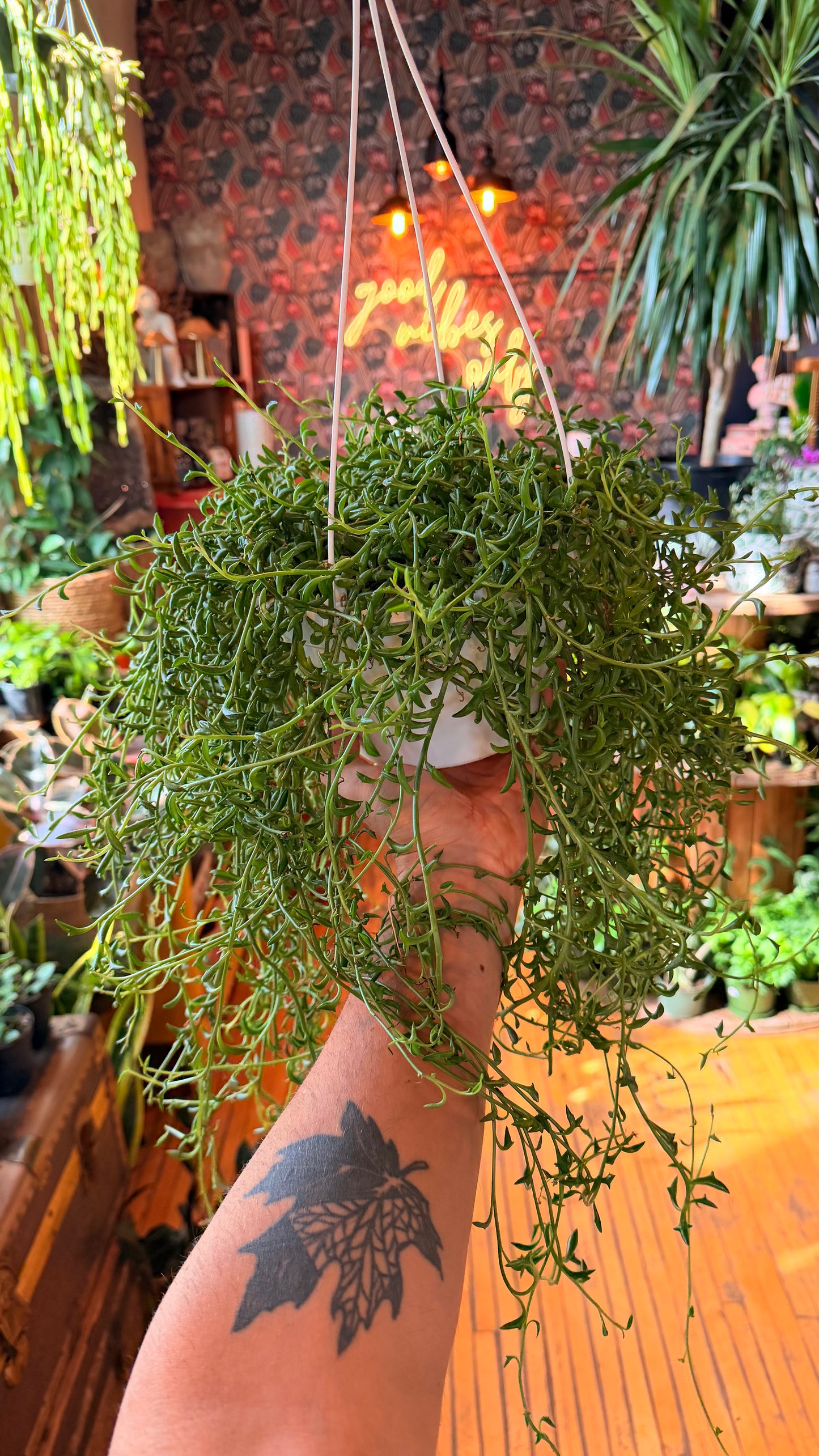 8” String of Dolphins