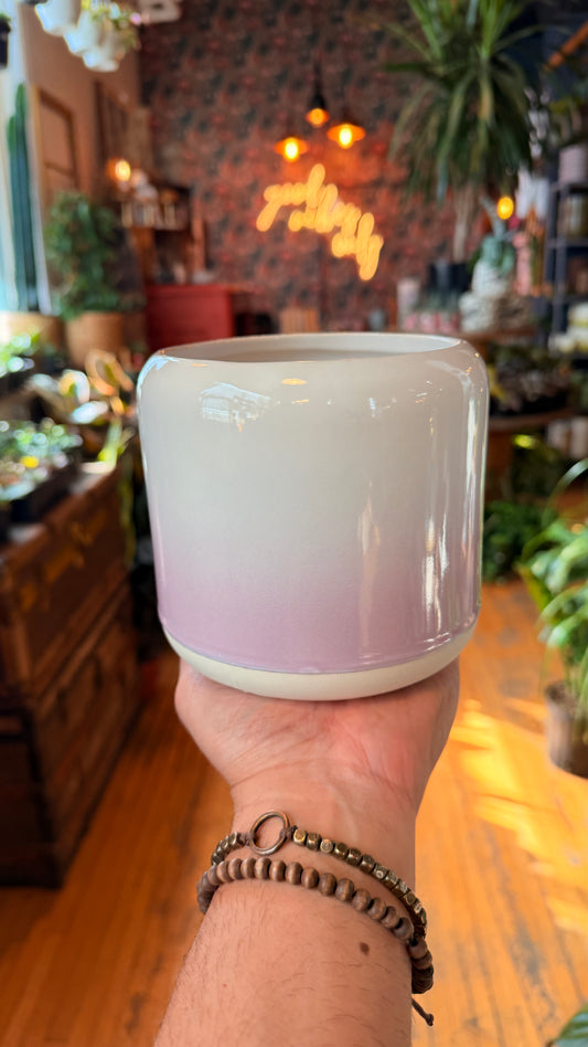 5” Neon Lights Pink Planter