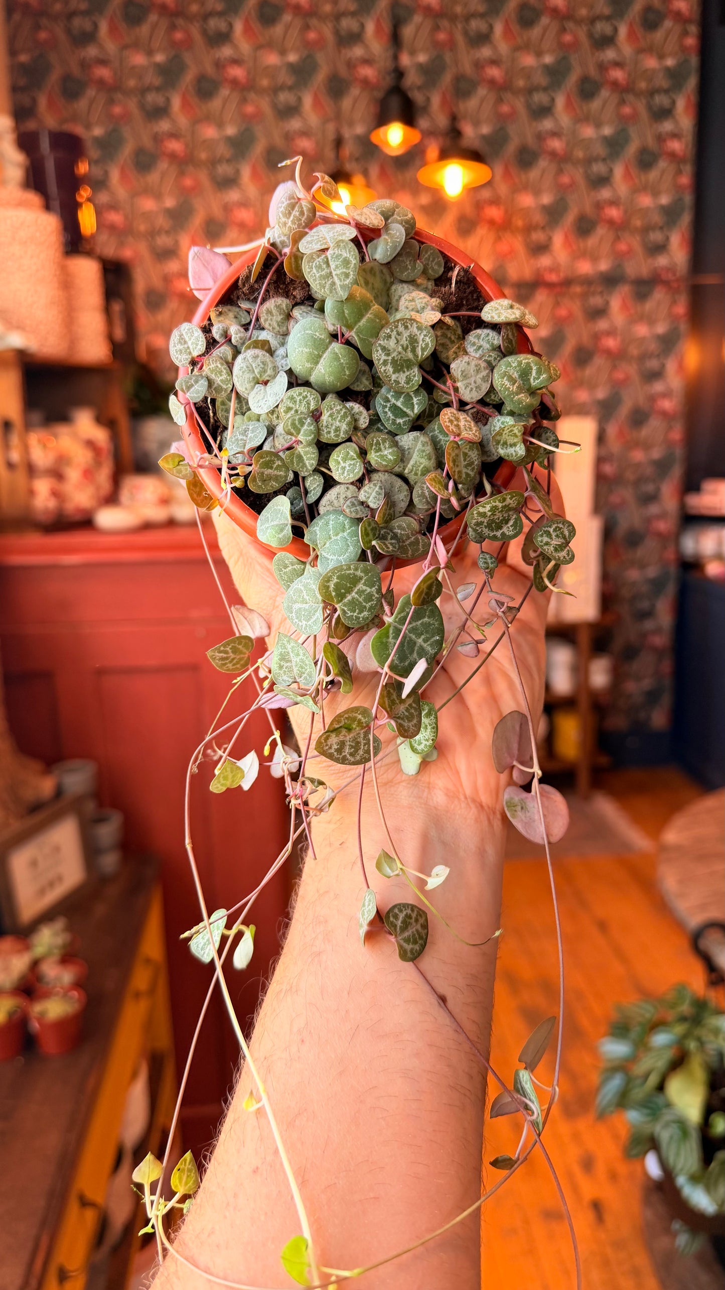 4” String of Hearts