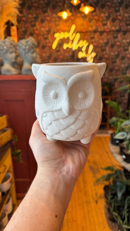 White Night Owl Planter