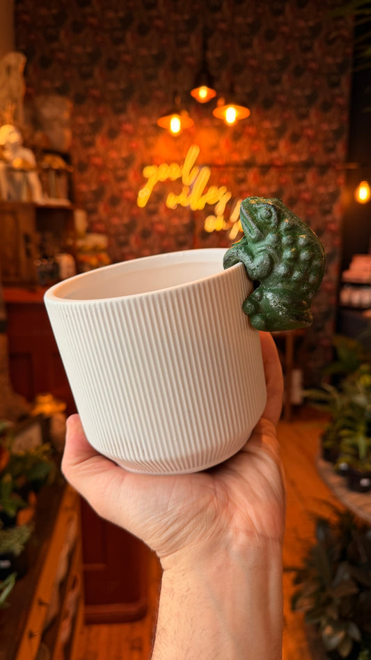 Croaky the Frog Plant Buddy