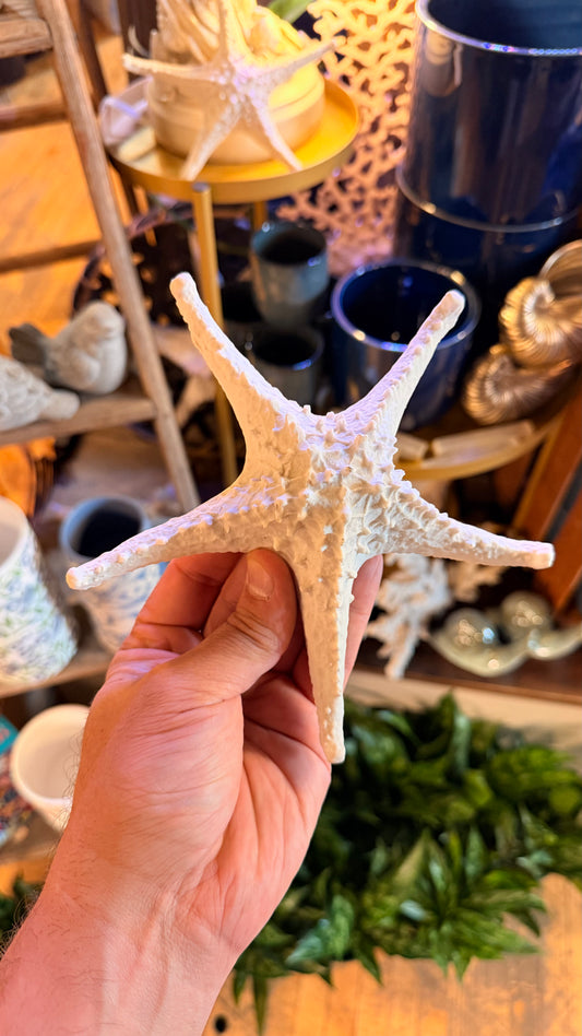 Small Starfish Decor