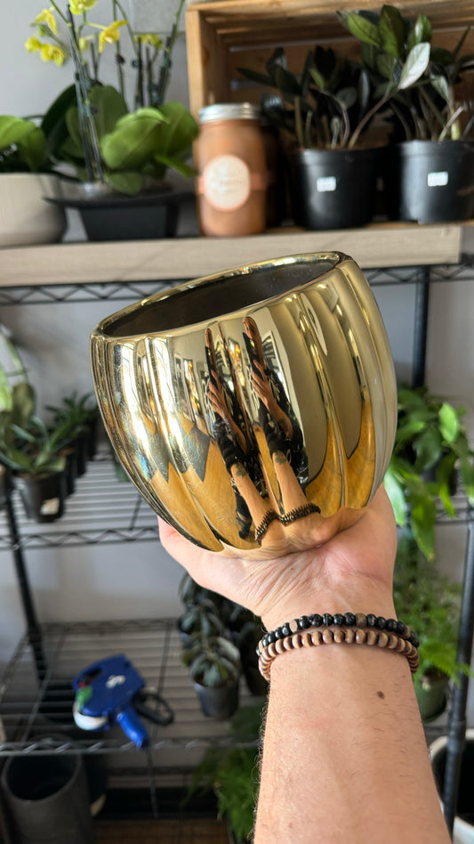 5.5” Gold Ripple Planter