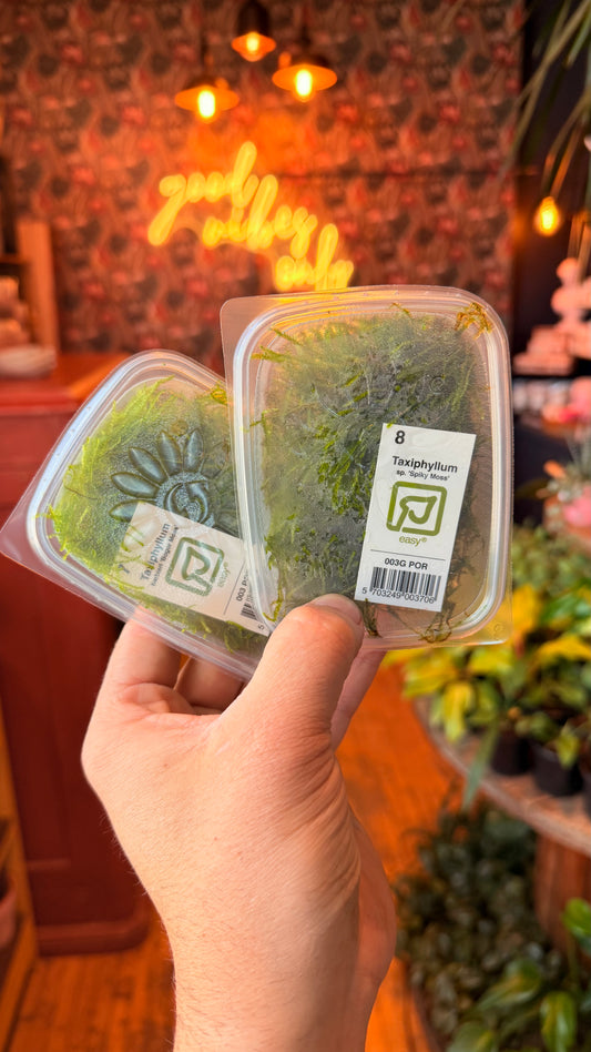 Assorted Aquatic Moss