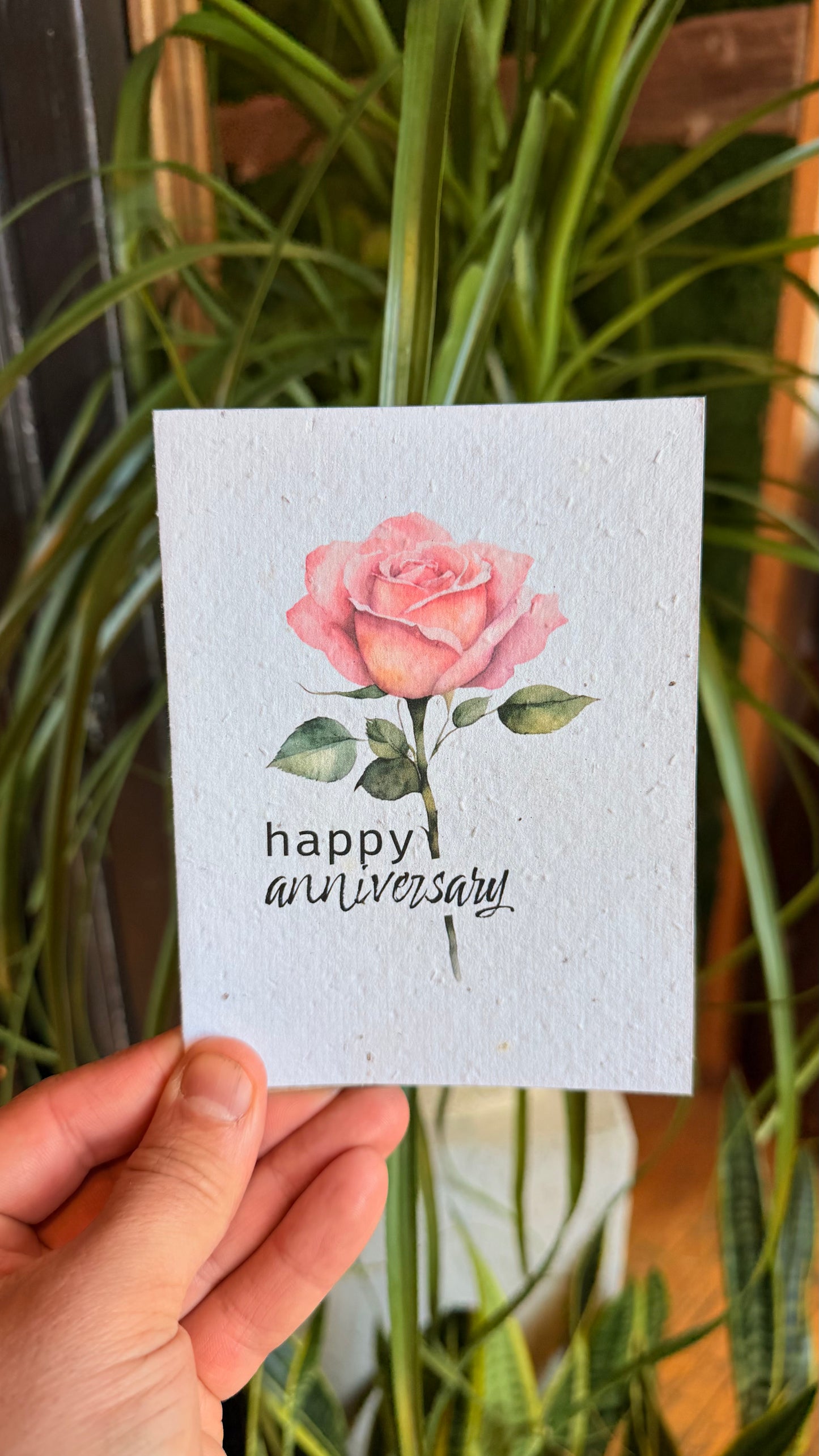 Plantable Cards - Happy Anniversary