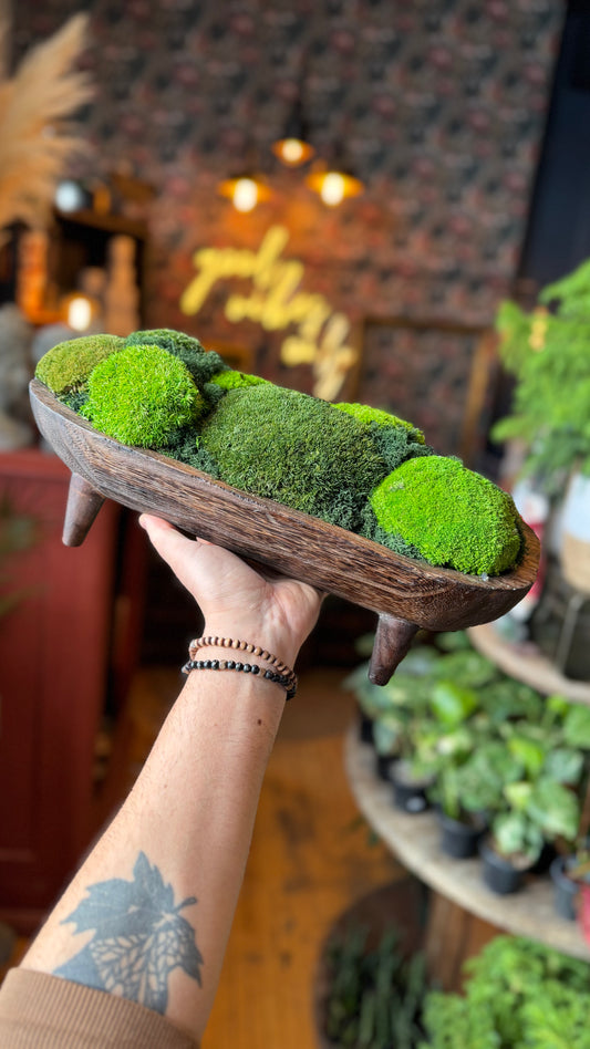 XL Coffee Table Moss Bowl