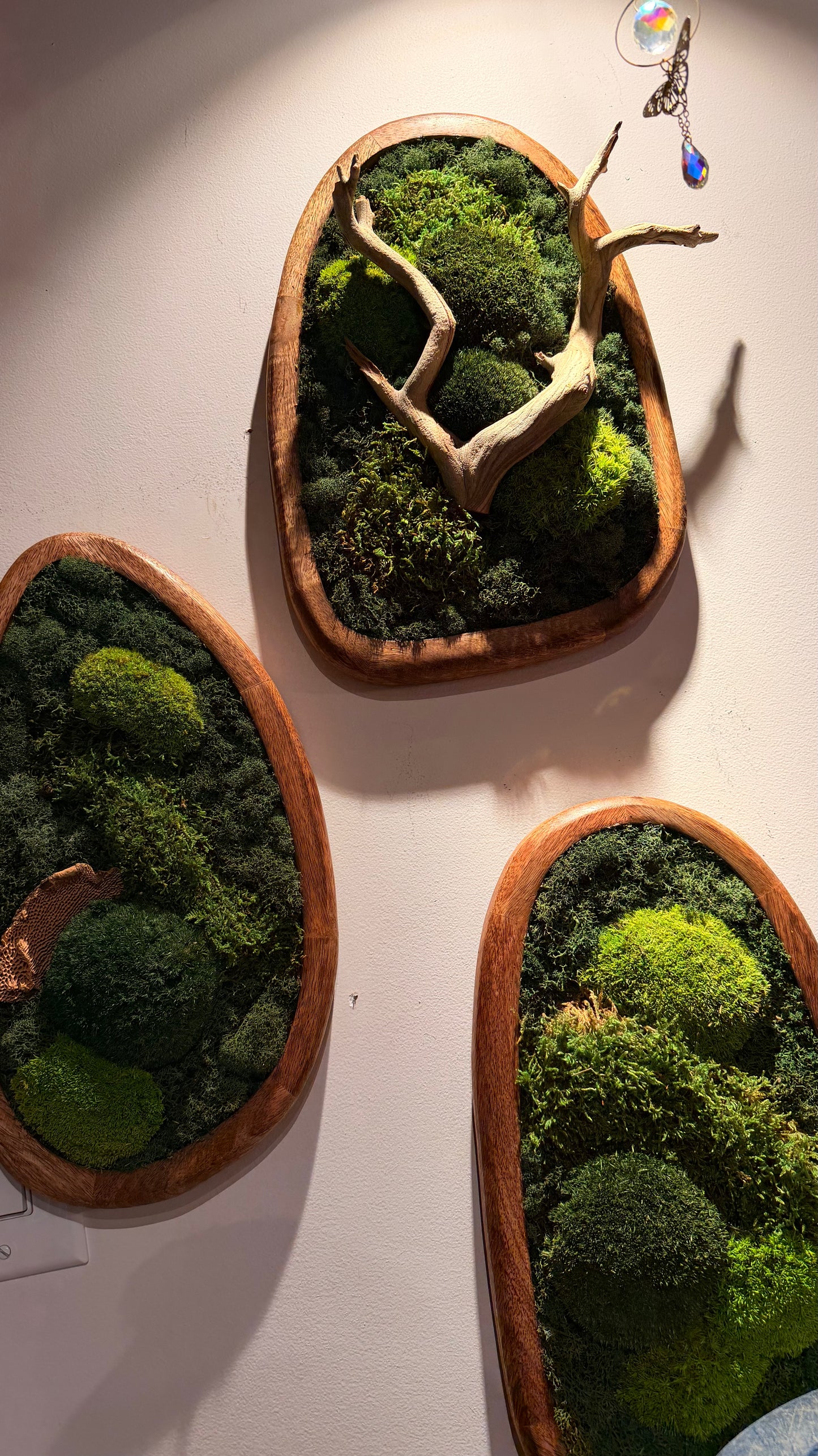 XL ‘Cabinn’ Wood Frame Moss Art