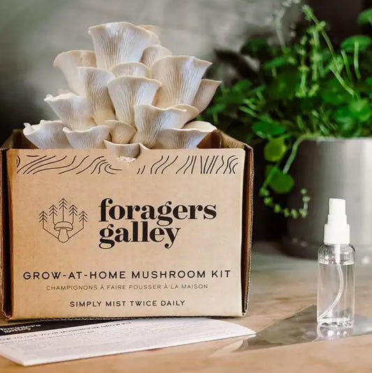 Snow Oyster Mushroom Grow-at-Home Kit