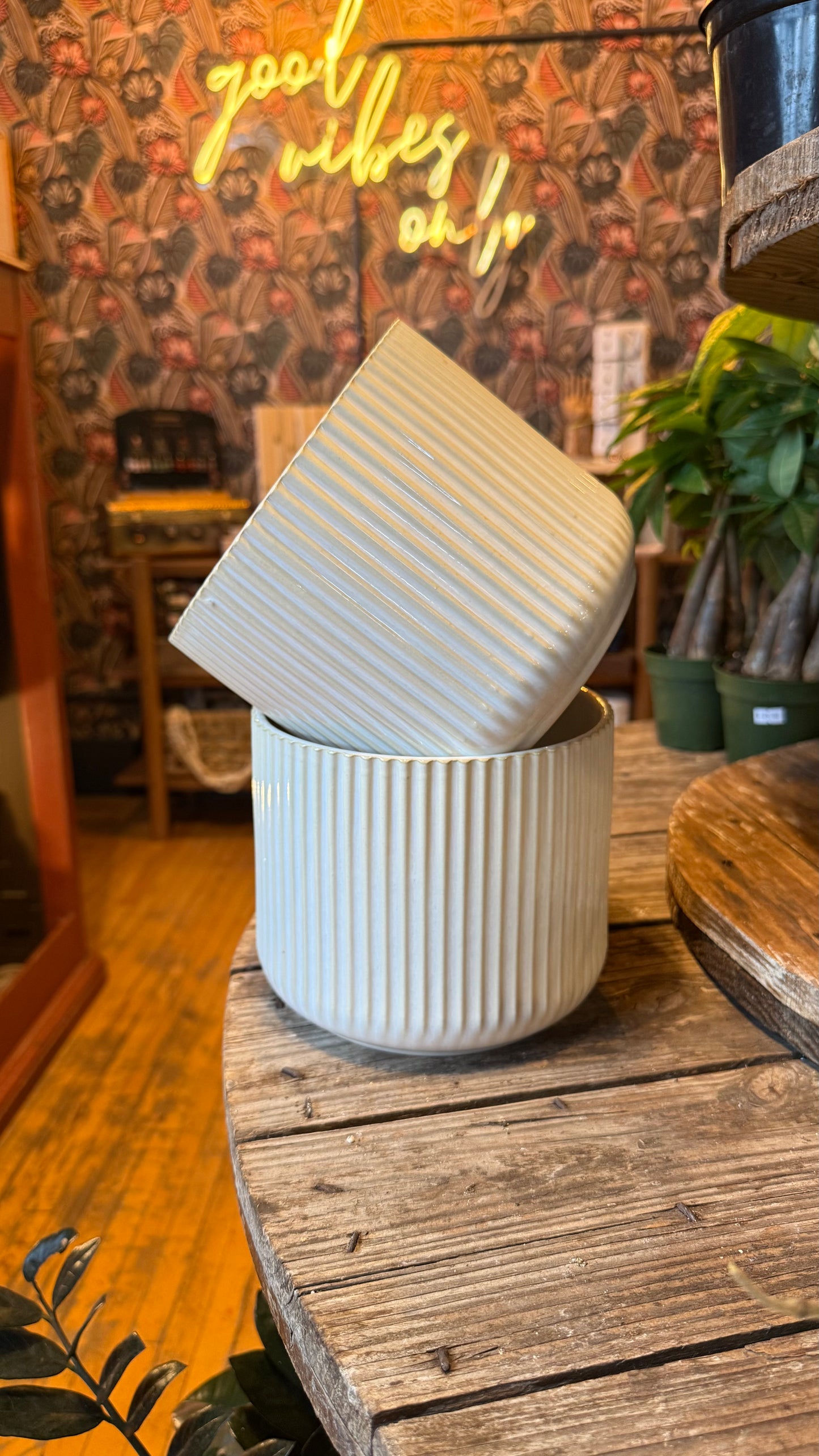 6” white Ribbed Planter