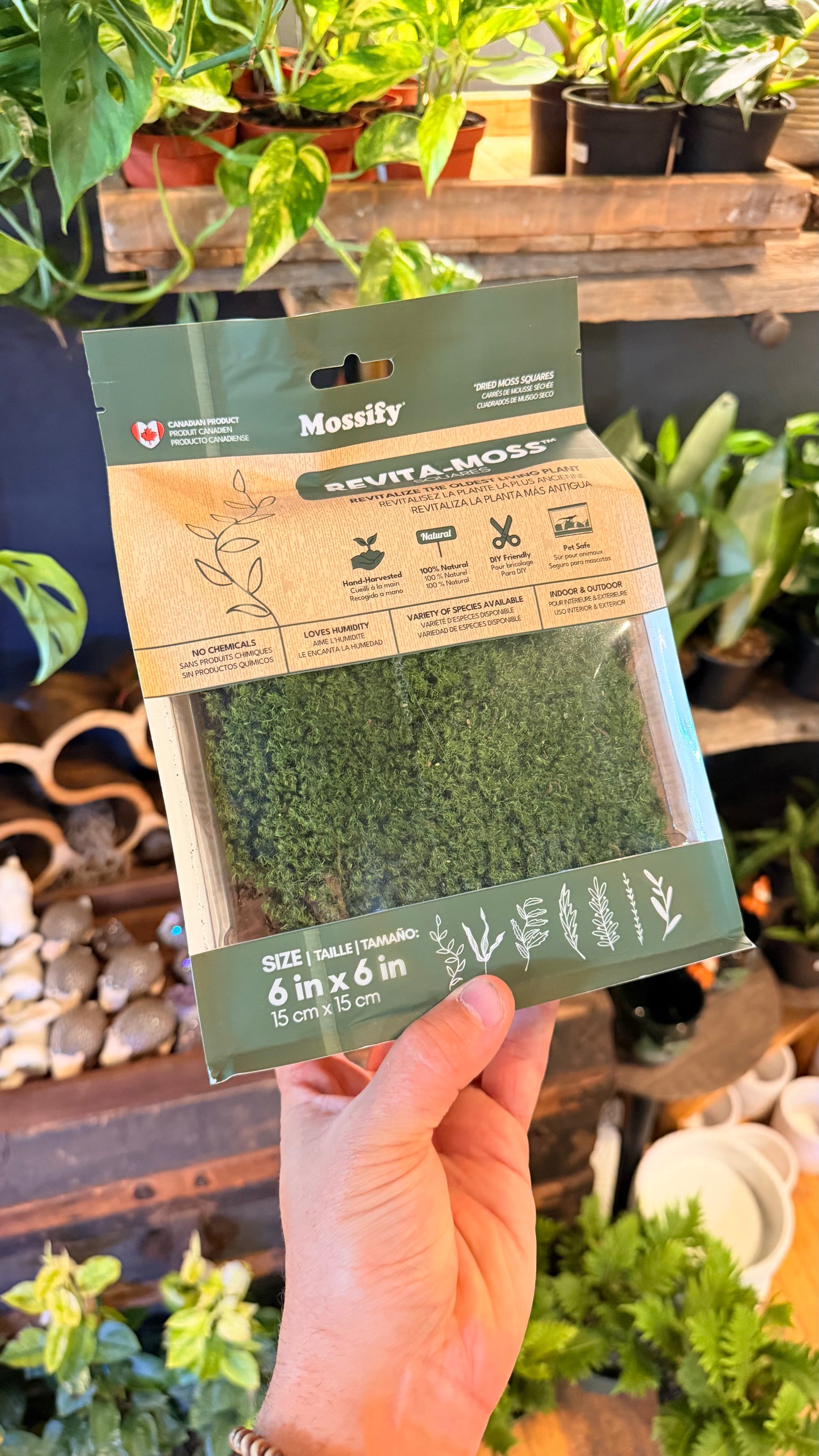 Revita-Moss - Zombie Moss Square