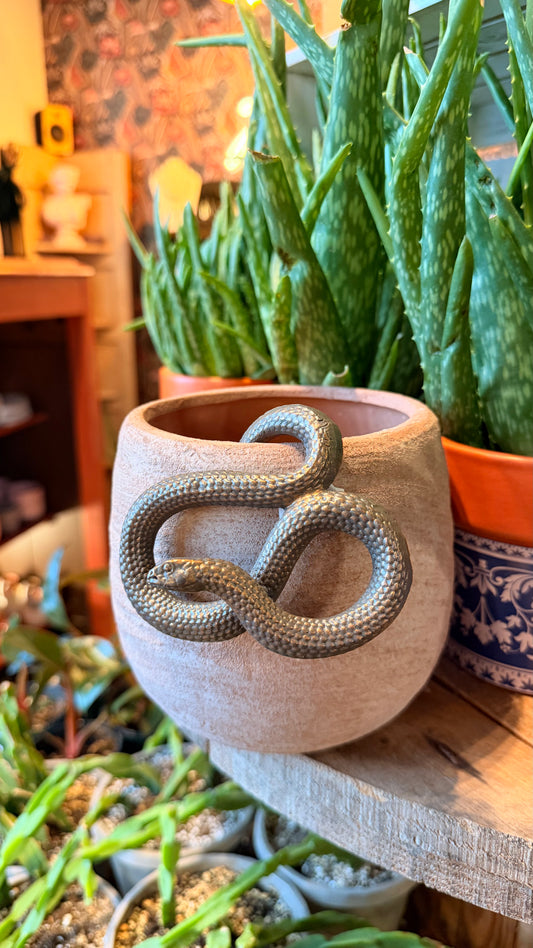 Smith the Snake - Plant Buddy