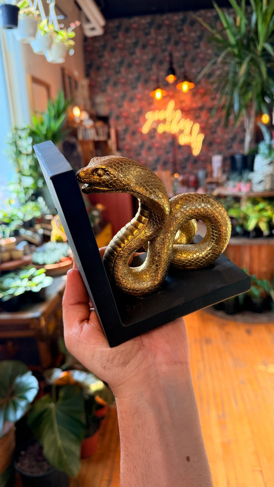 Golden Snake Book End Decor