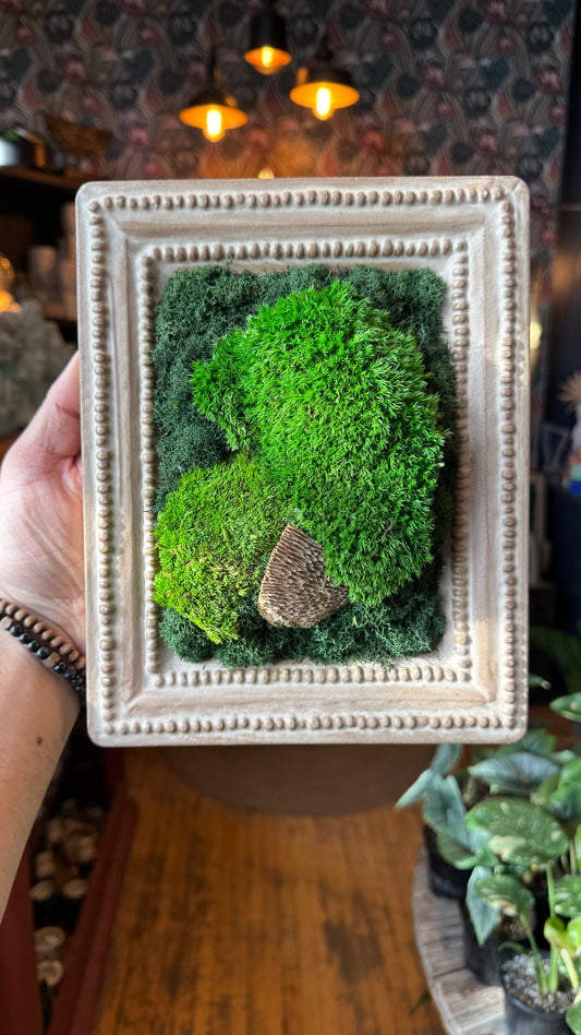 ‘Flora’ Moss Art