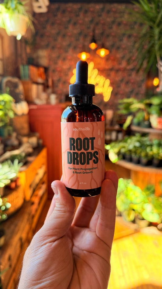 Root Drops - For Water Propogations & Repotting