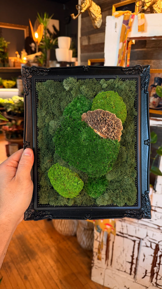 Vintage Black ‘Buddette’ Moss Art Frame