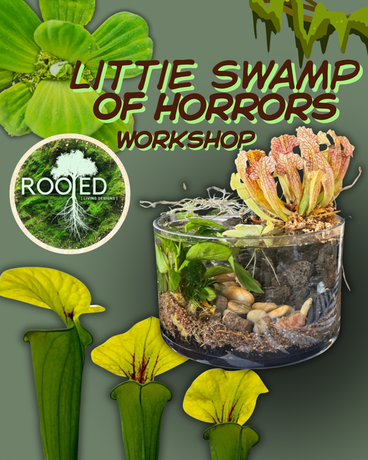 Little Swamp of Horrors Workshop