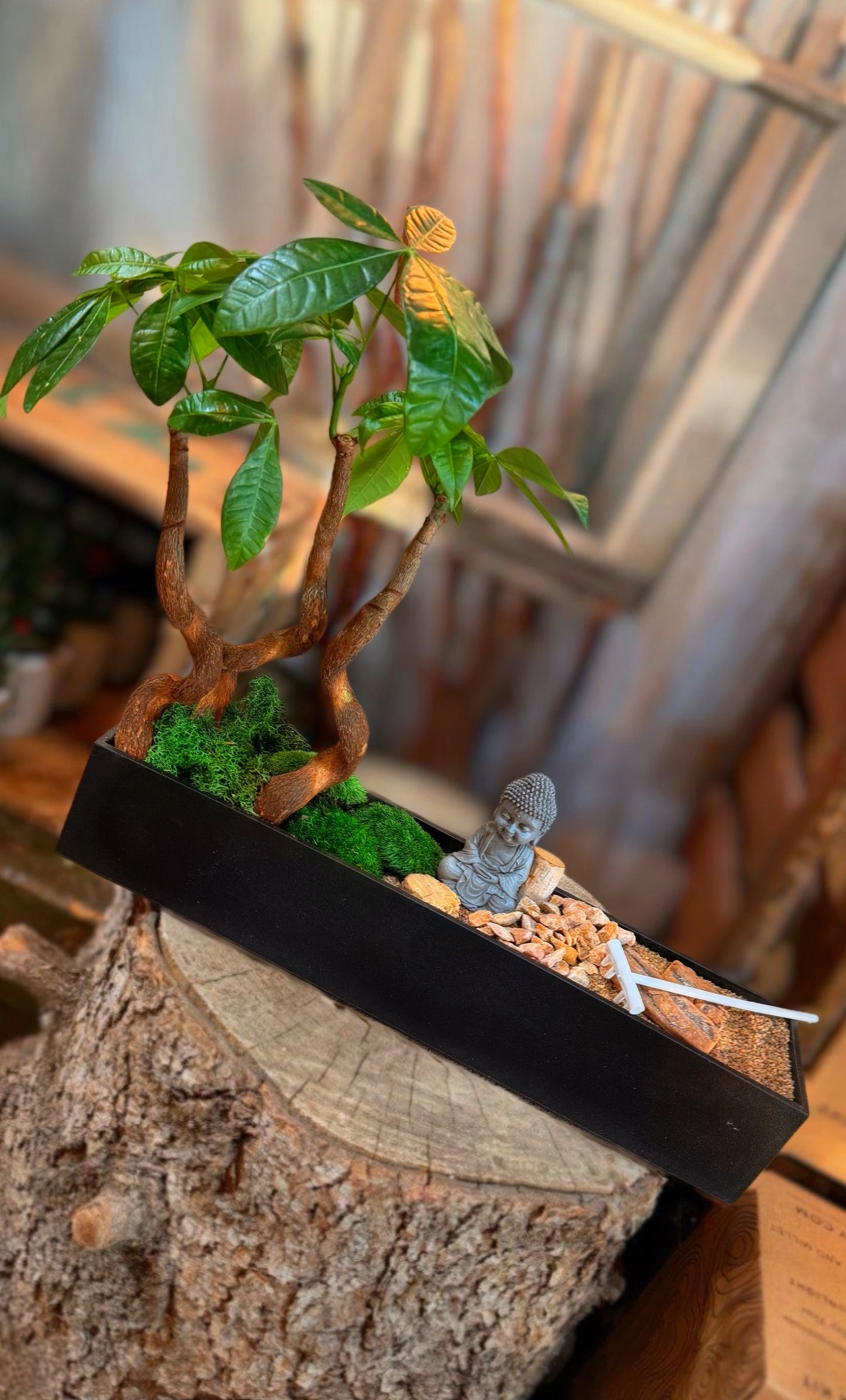 Unwind Zen Garden Workshop