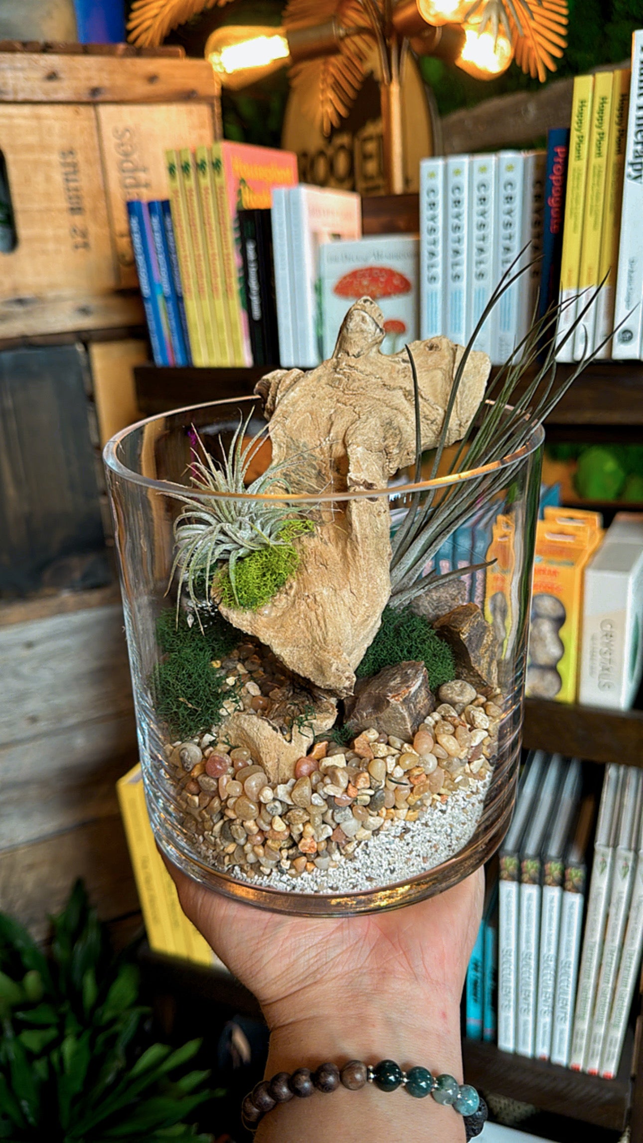 Large Driftwood Airplant Arrangement