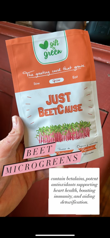Beet Microgreens