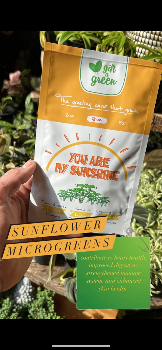 Sunflower Microgreens