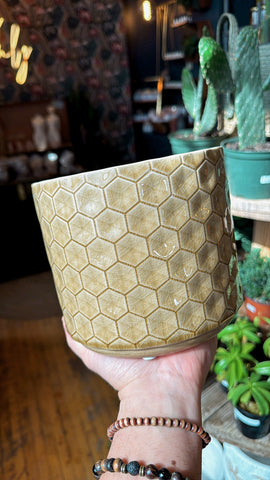 6.5” Honeycomb Drip Planter