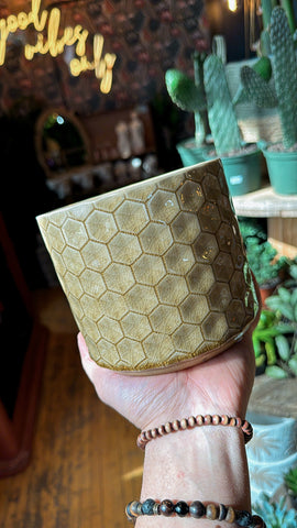 4.5” Honeycomb Drip Planter