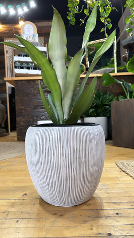 10” White Lined Planter