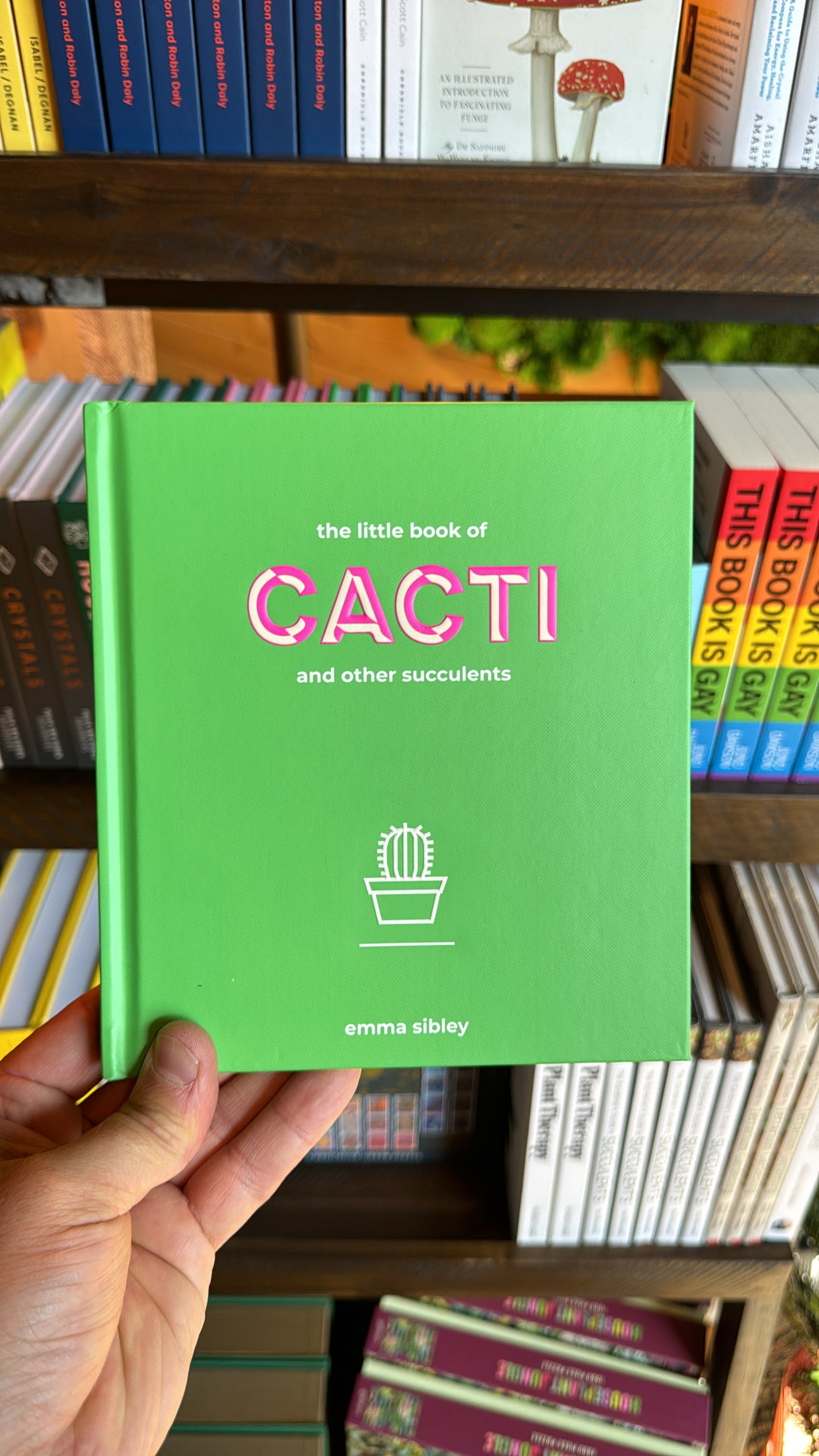 Little Book of Cacti