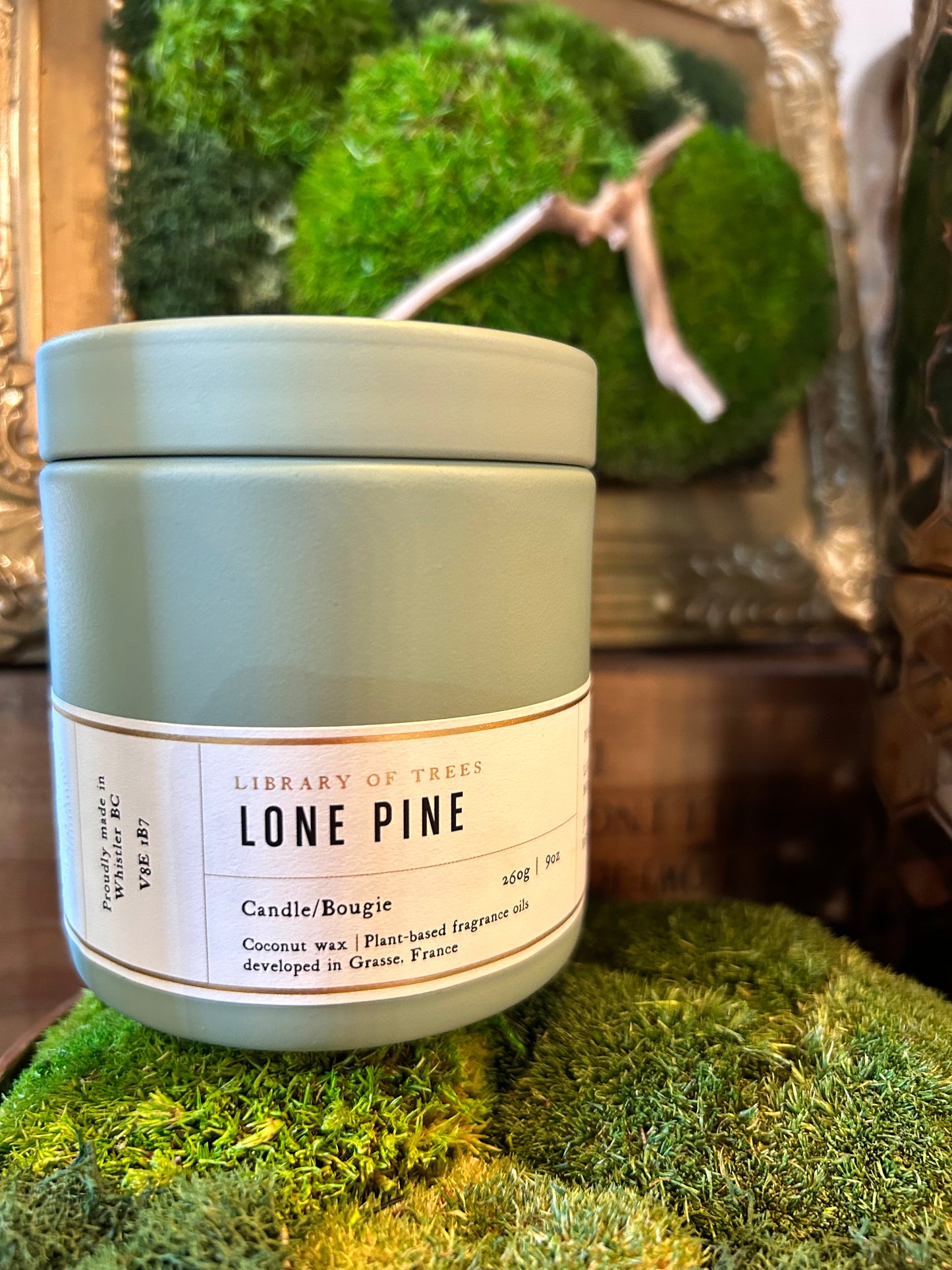 Hollow Tree Lone Pine Candle