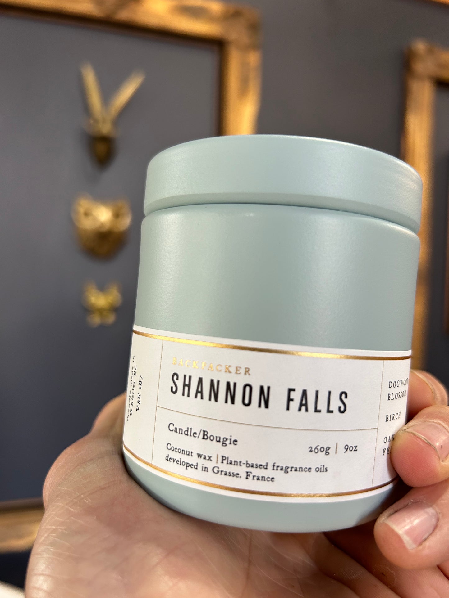 Hollow Tree Shannon Falls Candle