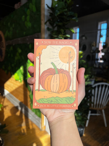 Sow The Magic -  Jack Be Little Pumpkin (Seed Packet)