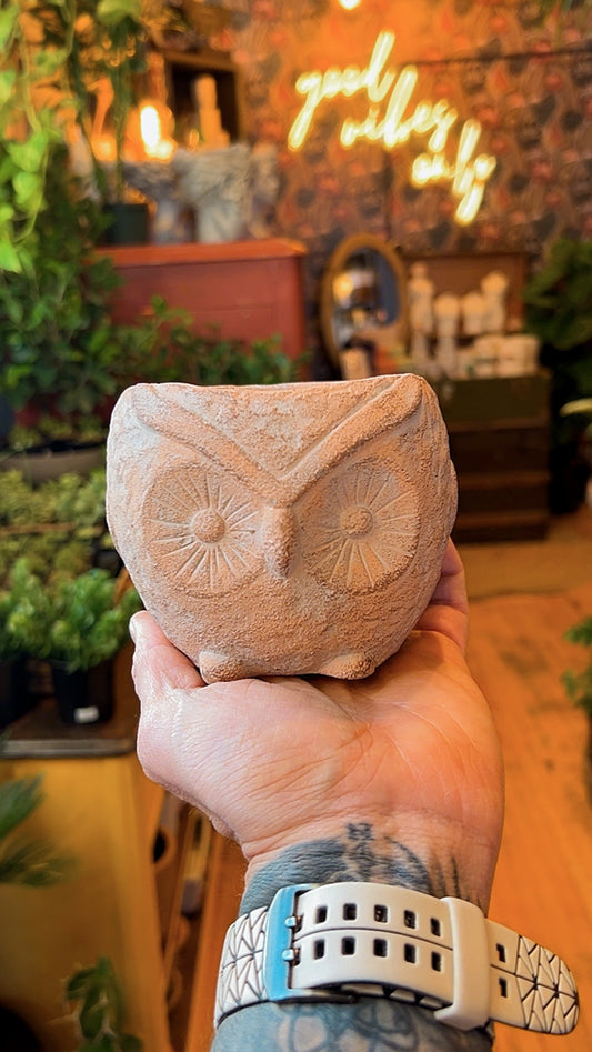 3.5” Terra Owl Planter