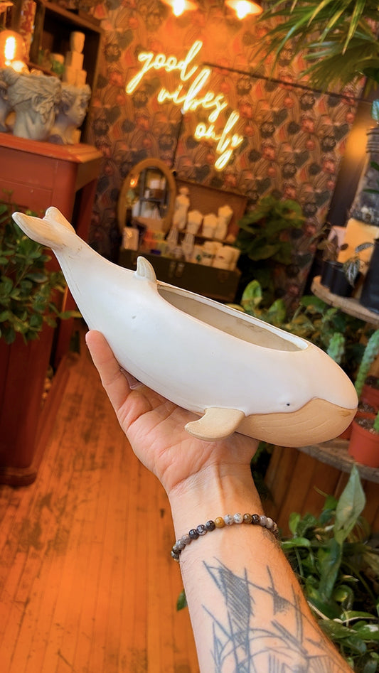 Large Whale Planter