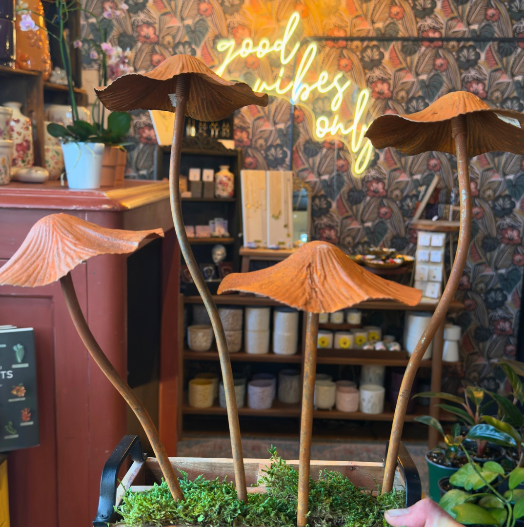 Rustic Mushroom Stake