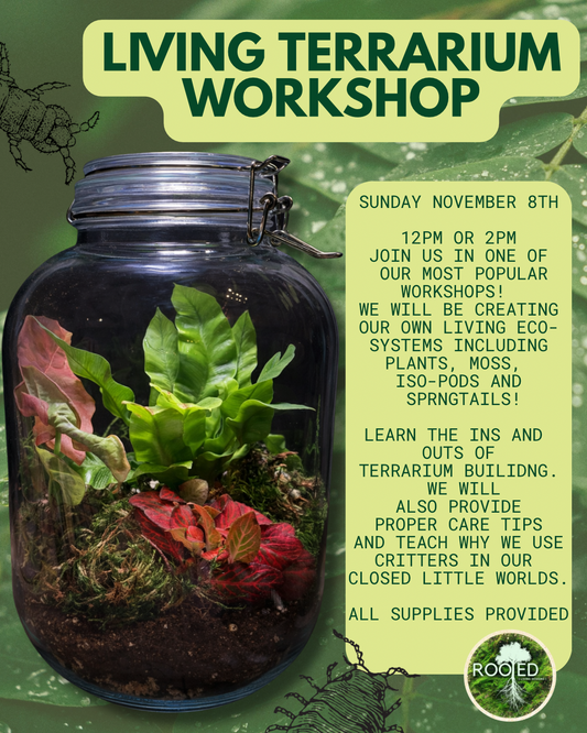 Living Terrarium Workshop
