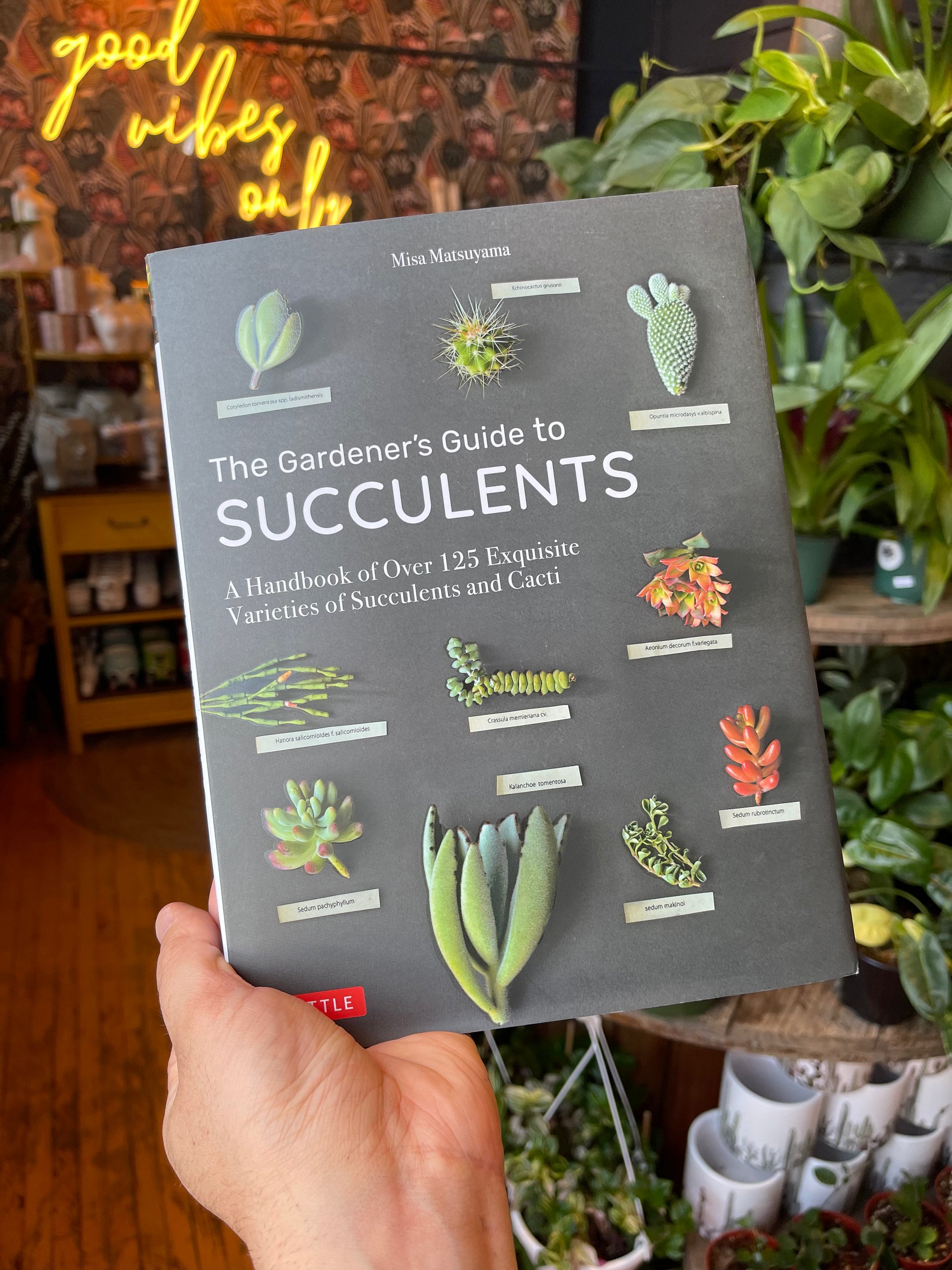 The Gardener's Guide to Succulents Book – Rooted Living Designs