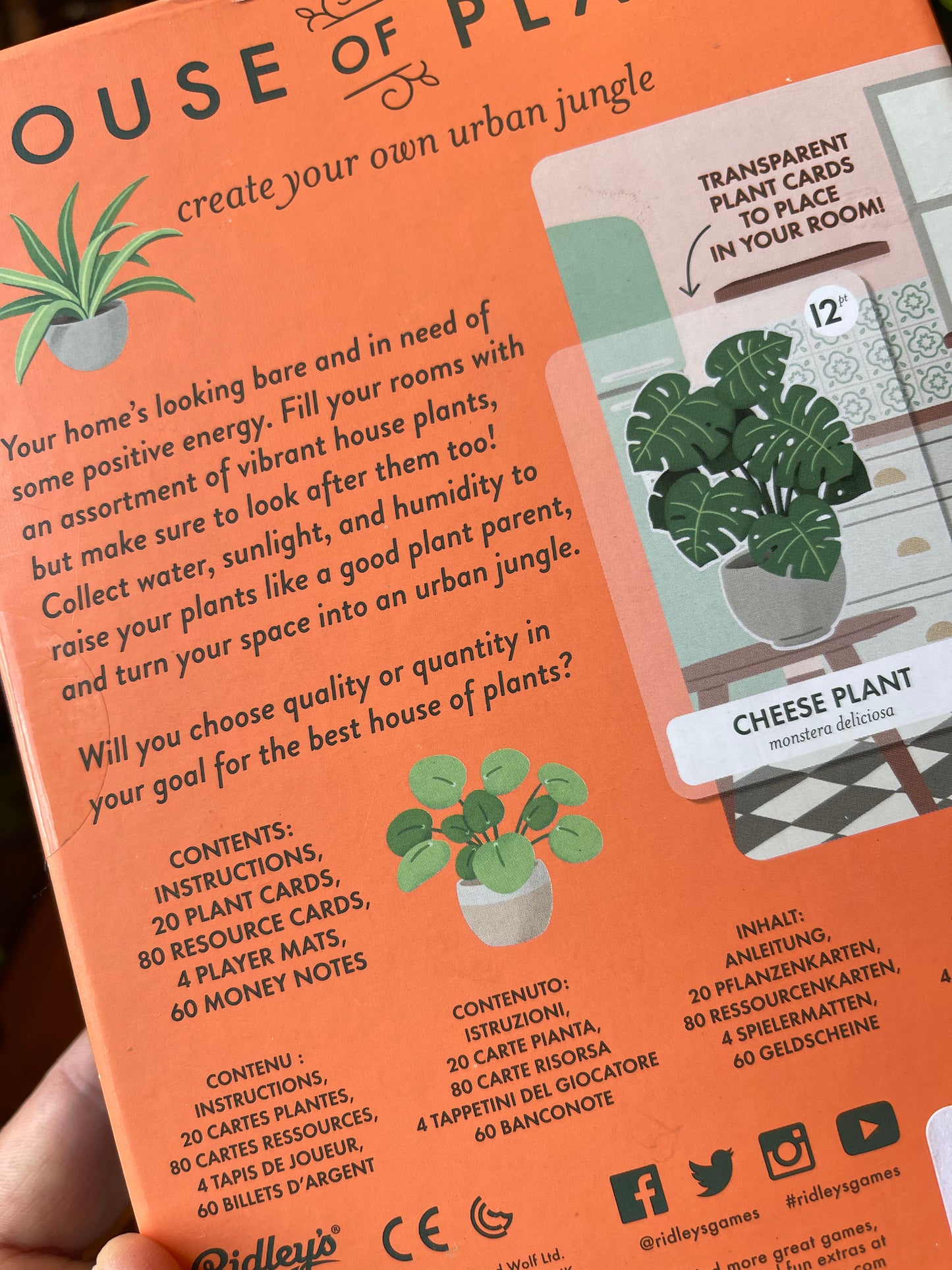 House of Plants Card Game