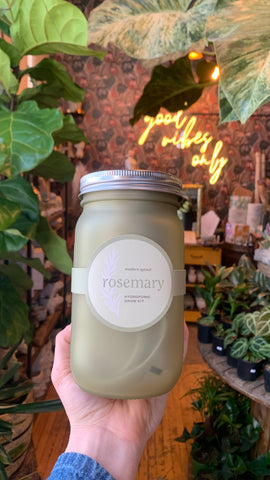 Mason Jar Herbs - Rosemary