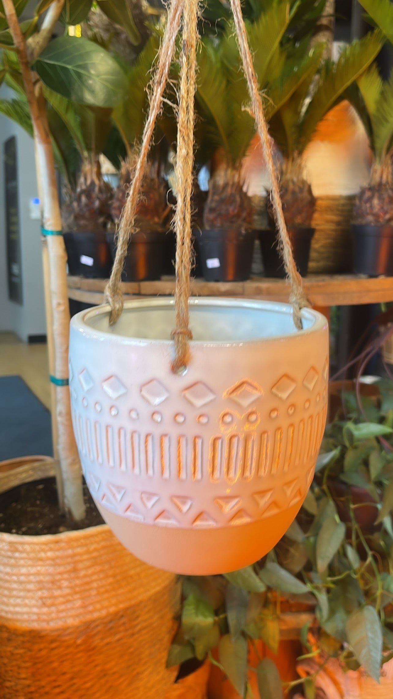 6” Havana Boho Hanging Planter