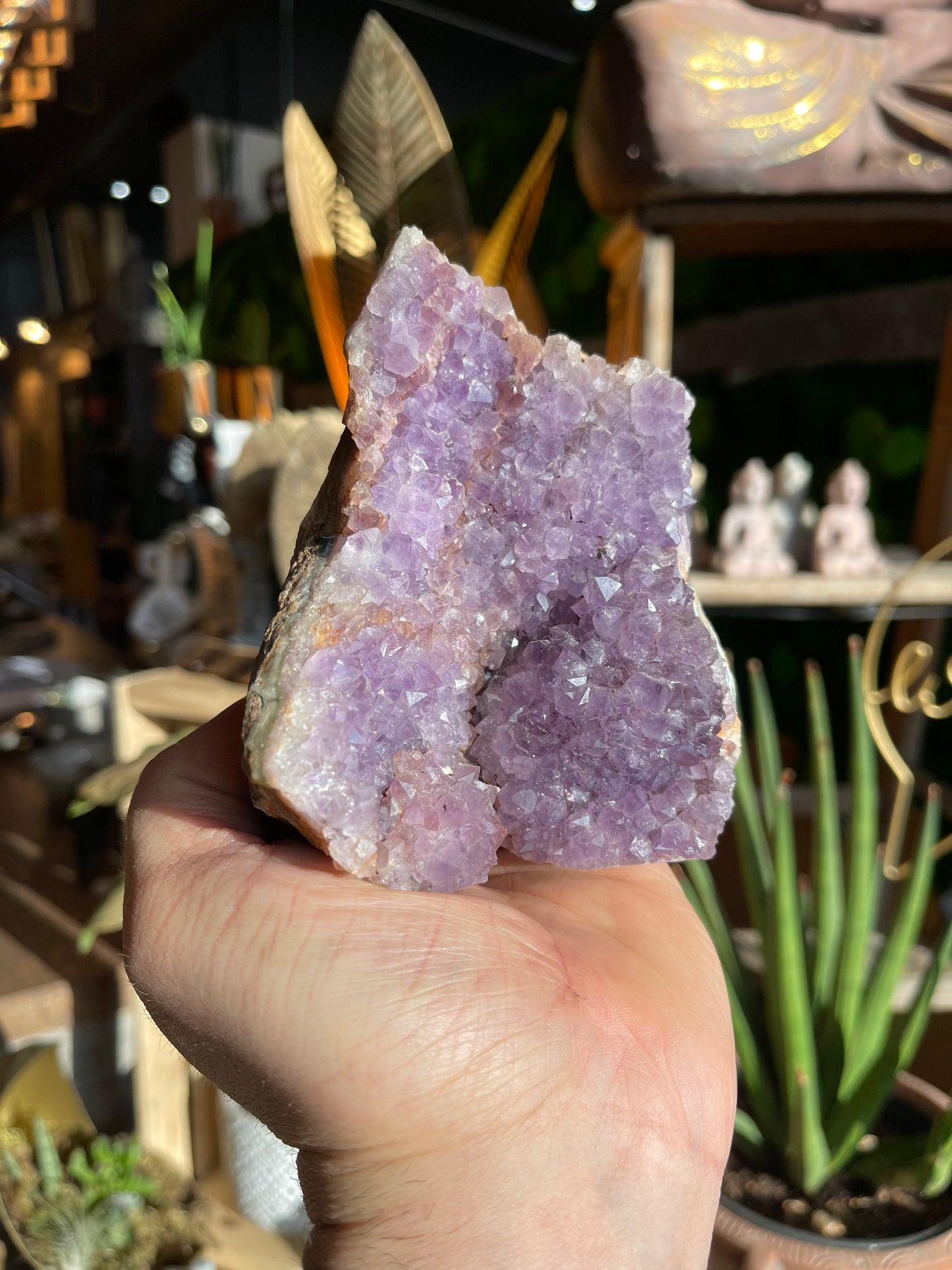 Amethyst - Large Raw