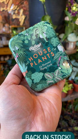 House Plant Playing Cards