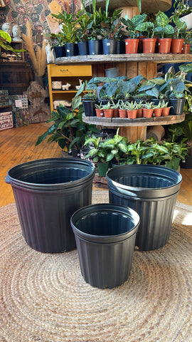 X-Large Nursery Pots