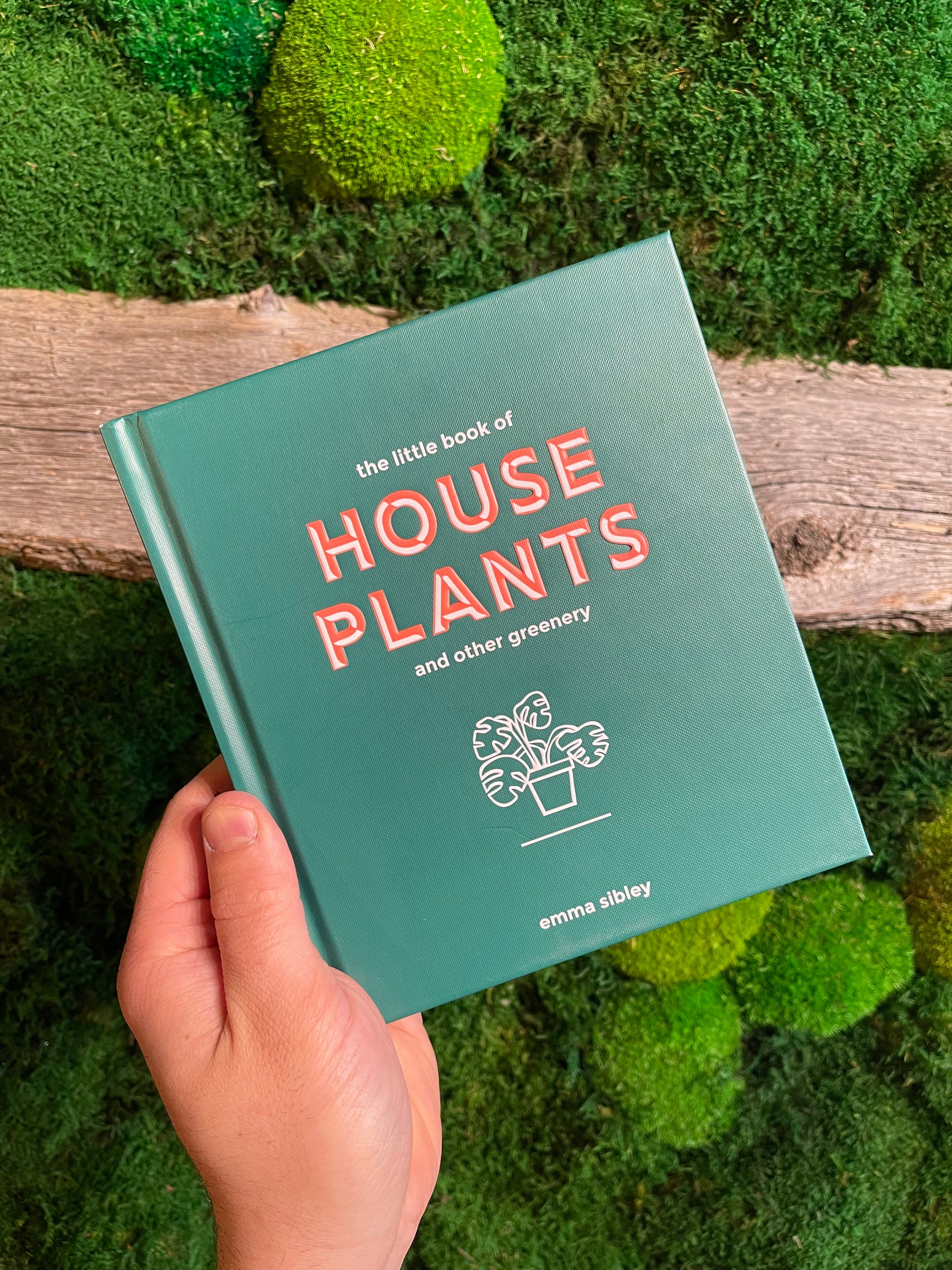 the little book of house plants and other greenery The Little Book of House Plants – Rooted Living Designs