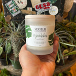 Rooted Woodwick Candle