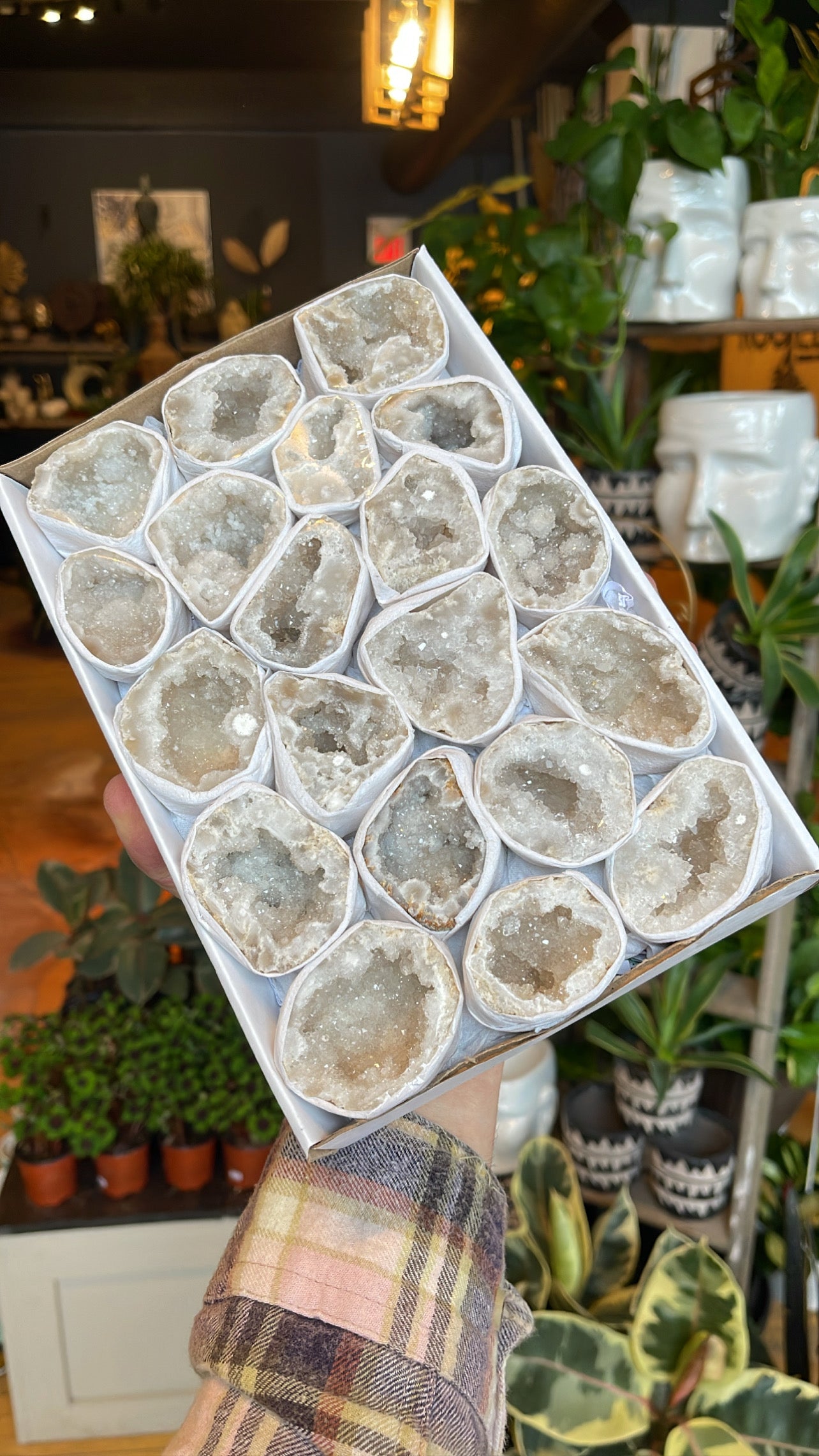 Assorted Agate Geodes