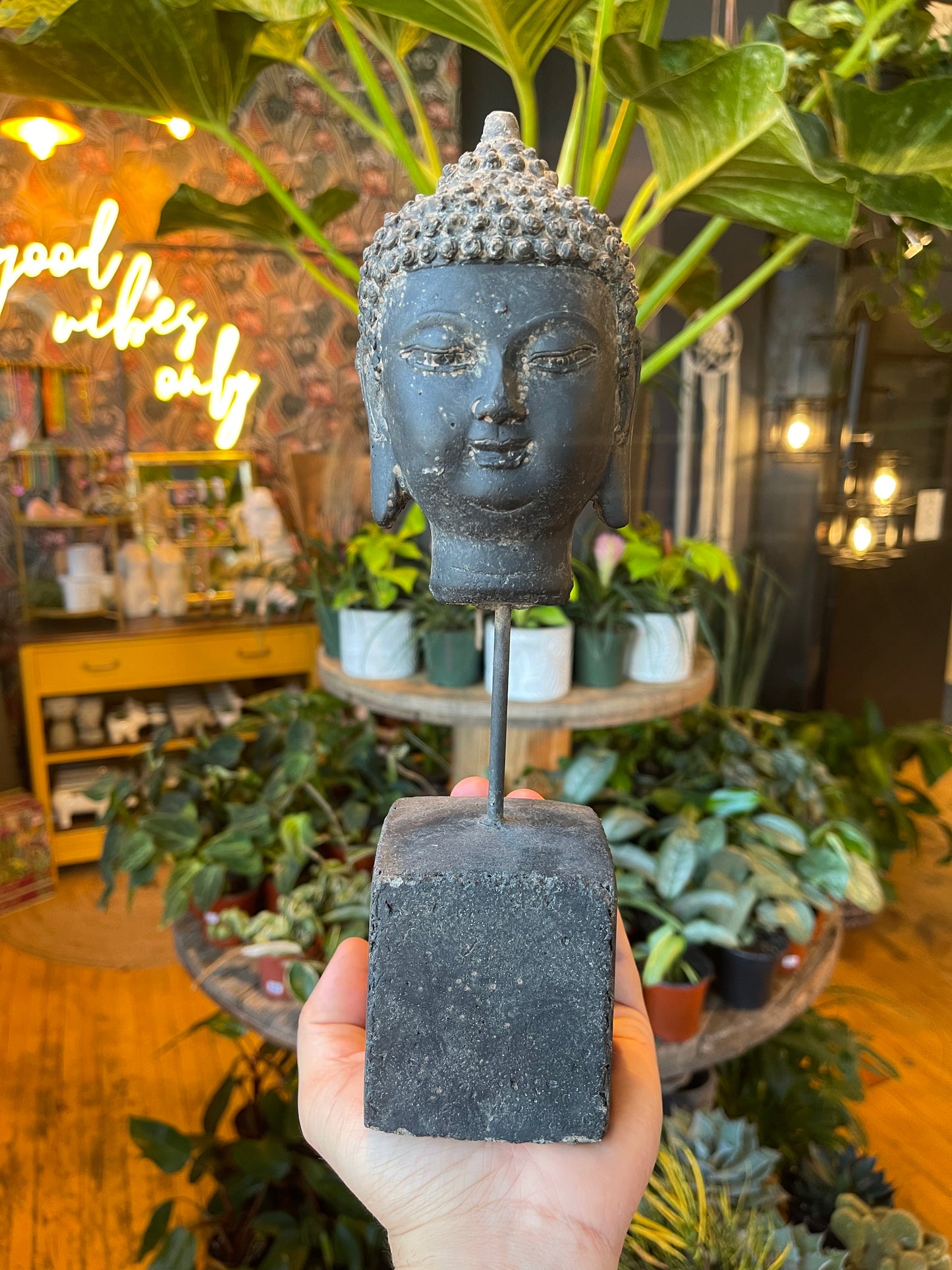 Aged Buddha Head Statue