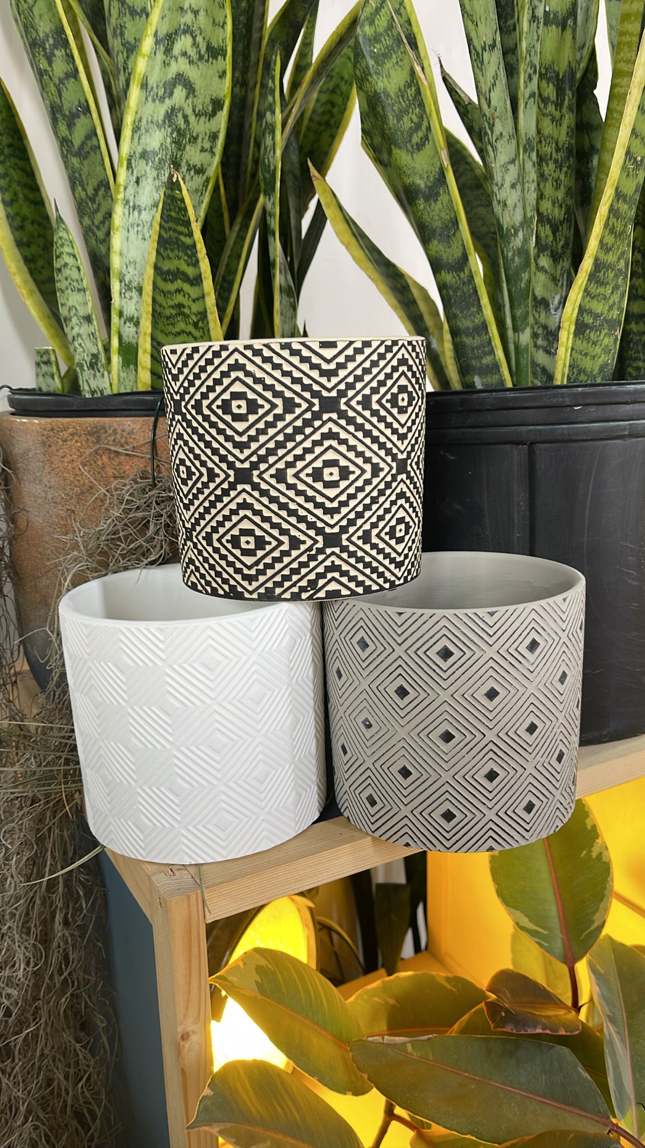 5” Designer Planter Set